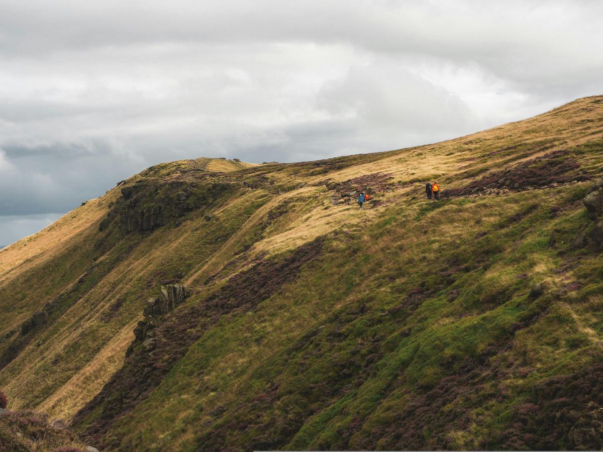 Earth and Environmental Sciences