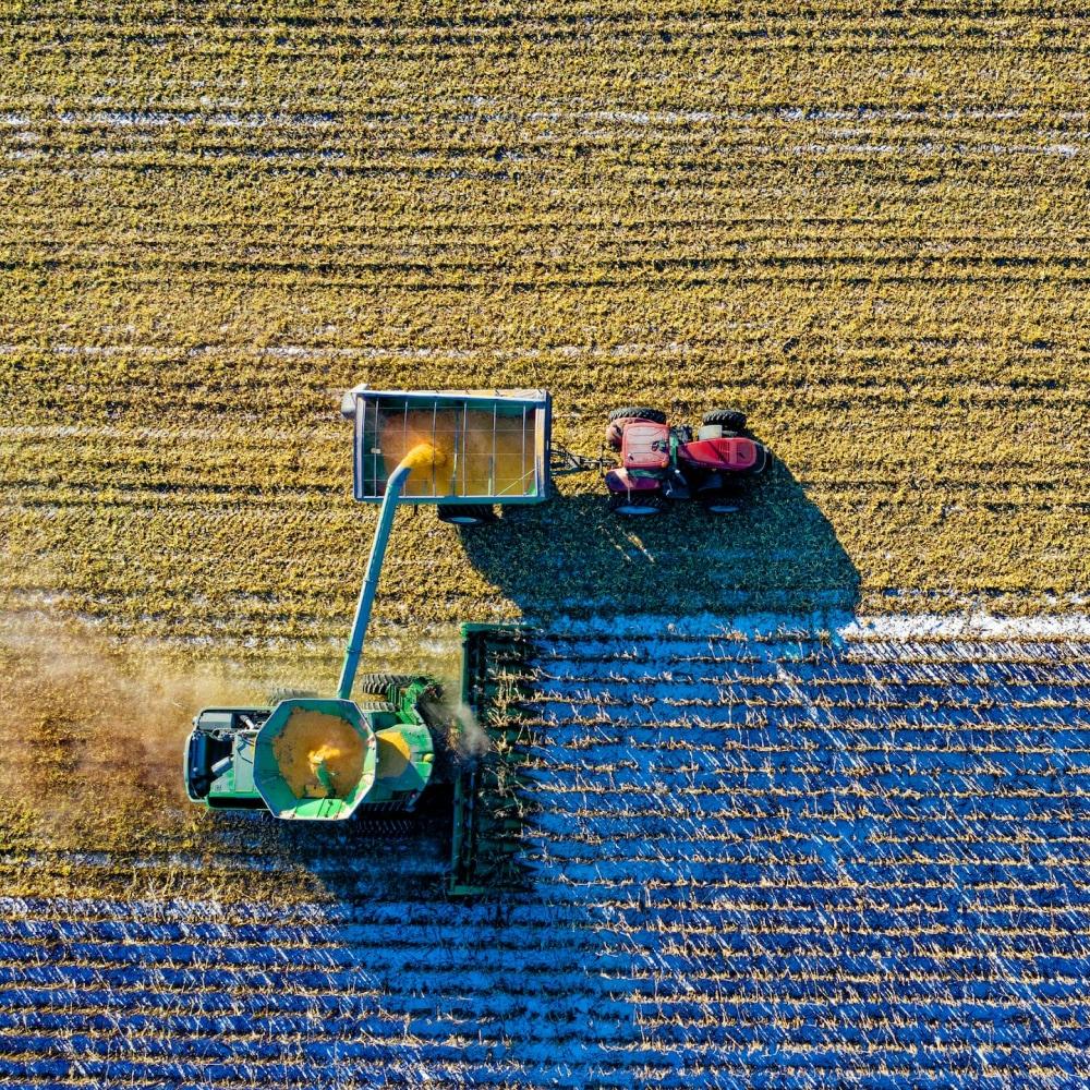 Global Food Law-Sustainability Challenges and Innovation