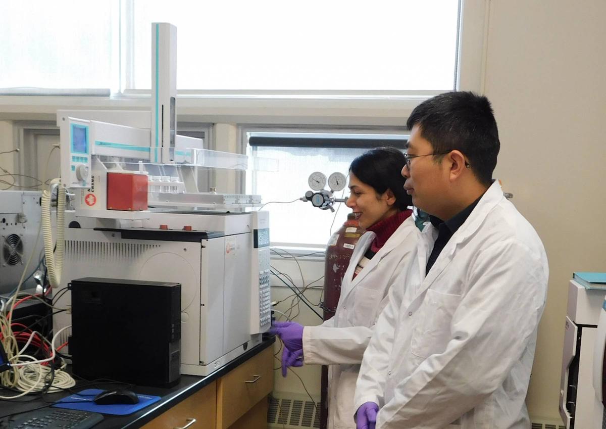 Sustainable Chemistry and Technologies - Biomolecular Chemistry Curriculum