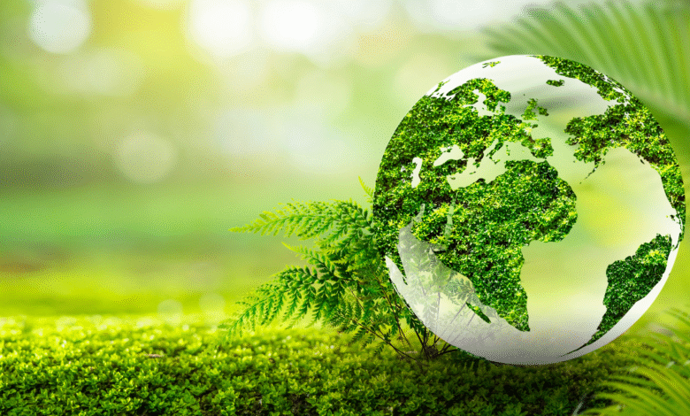 Transformative Sustainability