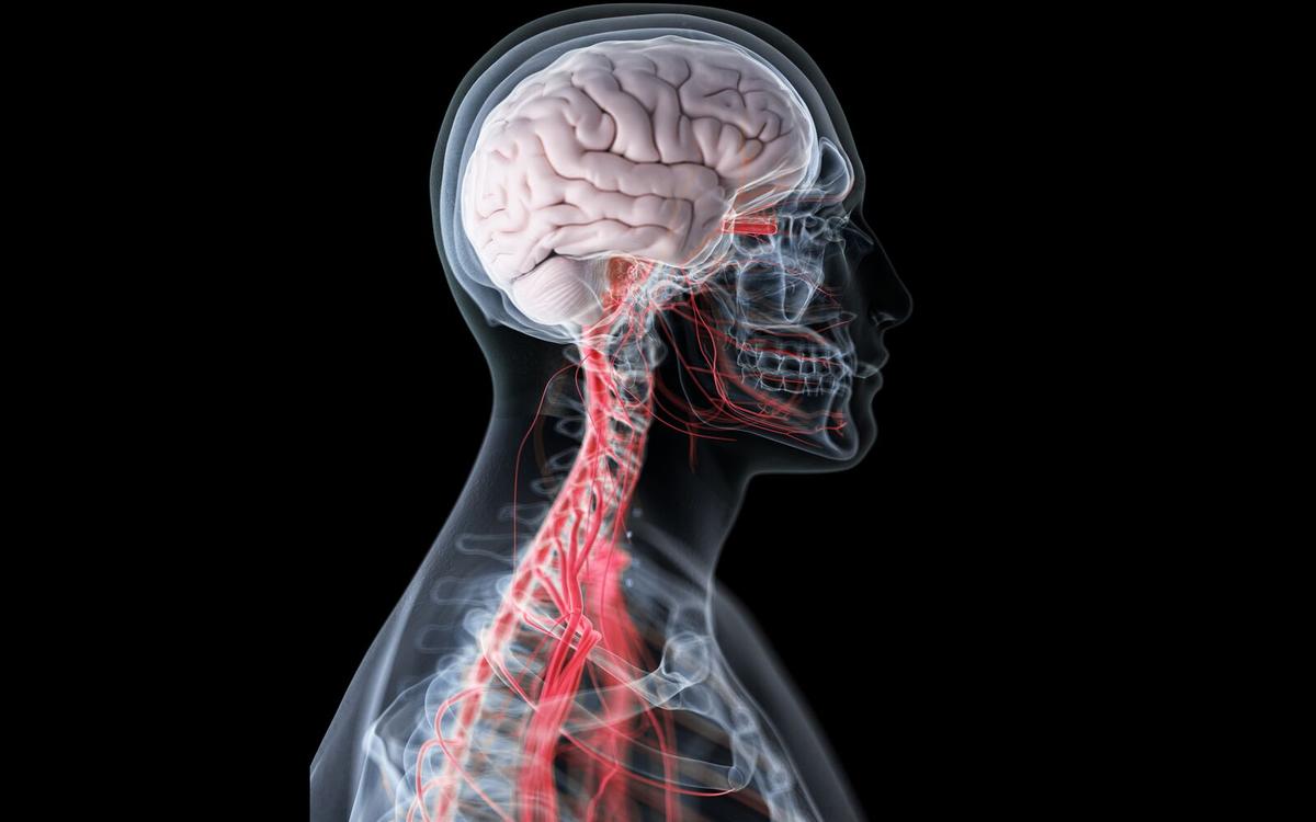 PSYCHOLOGY, NEUROSCIENCE AND HUMAN SCIENCES