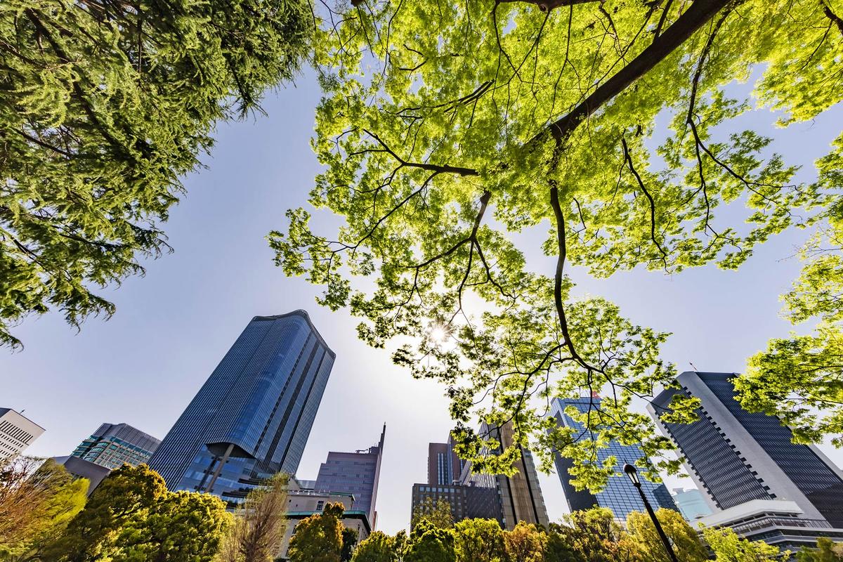 Environmental Sustainability and Education