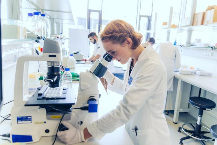 Biomedical Engineering