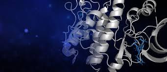 Molecular Biology, Medicinal Chemistry and Computer Science for Pharmaceutical Applications