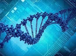 Master's Program in Physical Sciences - Biomedical Physics Curriculum