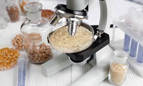 Food Safety and Food Risk Management