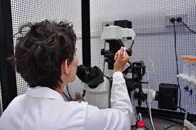 Biomedical Engineering