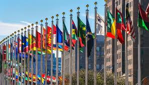 International Security Studies