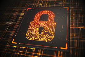 Security and Human Rights