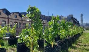 Architecture Construction City