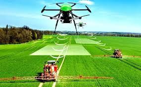 Science and Technologies for Agriculture and Mountain Areas