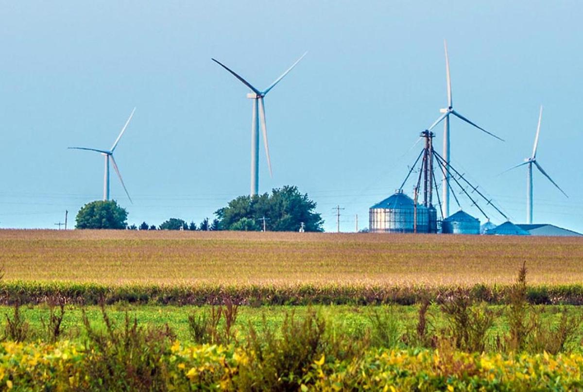 Management For Energy and Environmental Transition