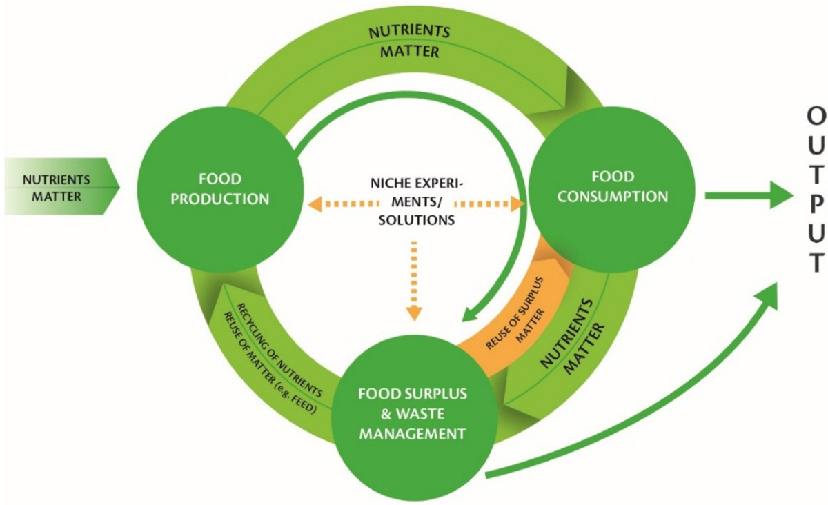 Food Animal Metabolism and Management in the Circular Economy