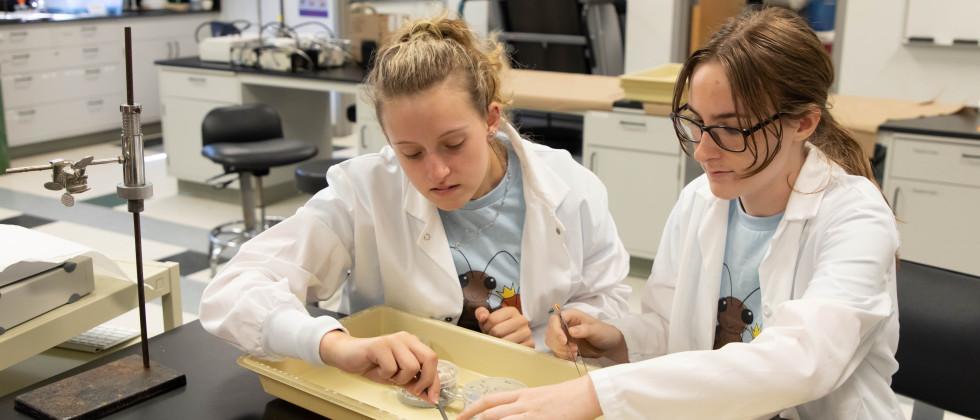 Medical Biotechnologies