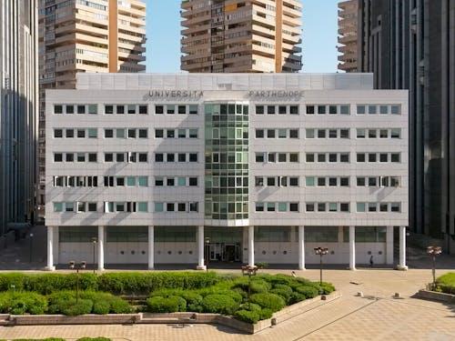 University of Naples Parthenope